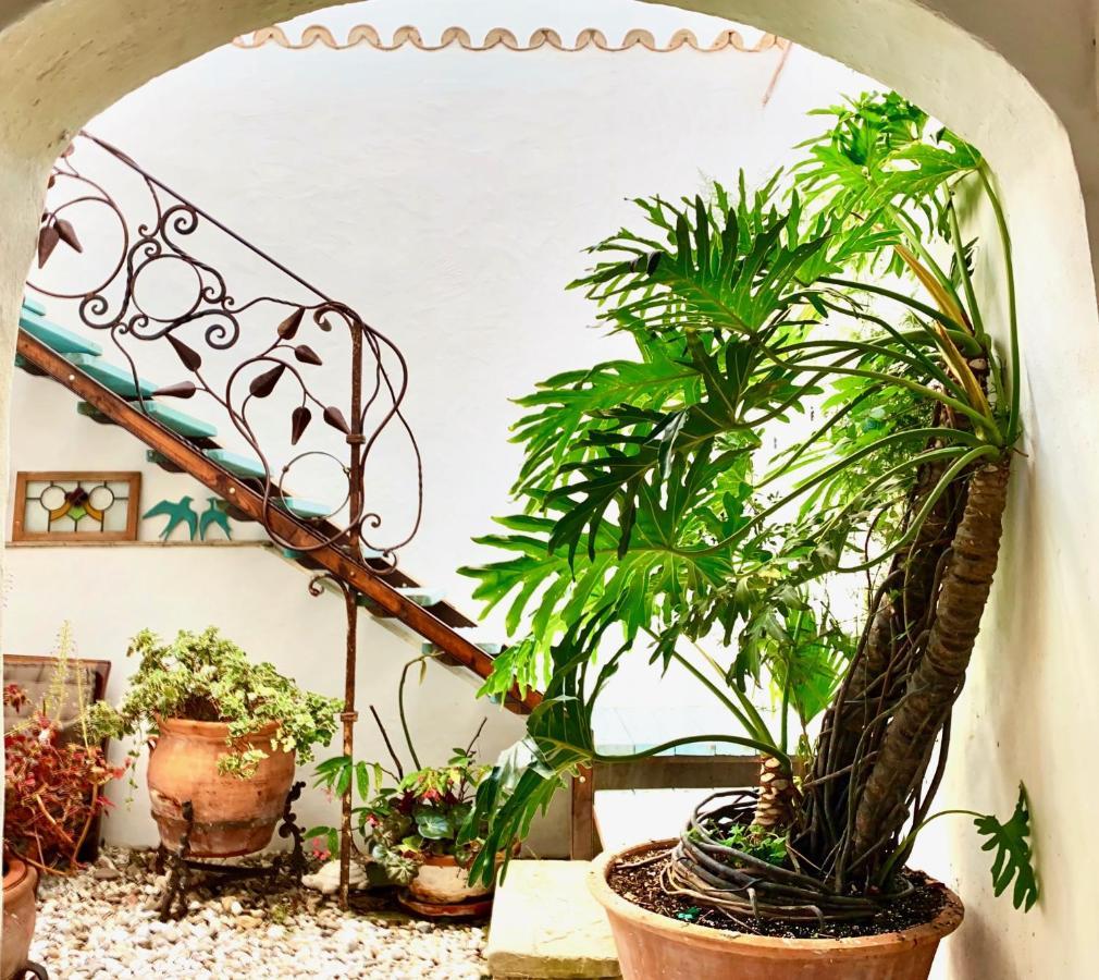 הוילה וחר דה לה פרונטרה Casa Del Teatro Luxury Casas Vejer Debra מראה חיצוני תמונה